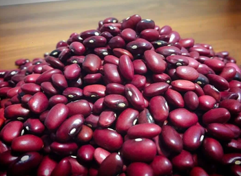 Red Beans - GLOBAL AGRICOL LTD - Kenya